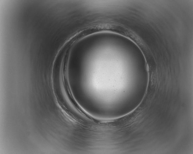 X0000070210722200605261251