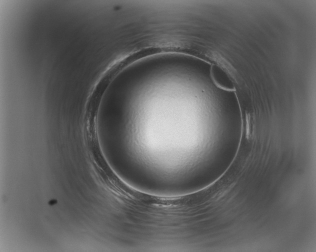 X0000070210723200605261251