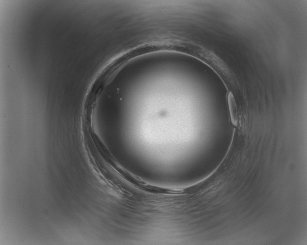 X0000070210724200605261251