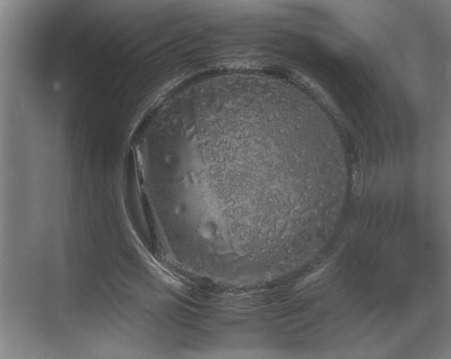 X0000070210725200605261251