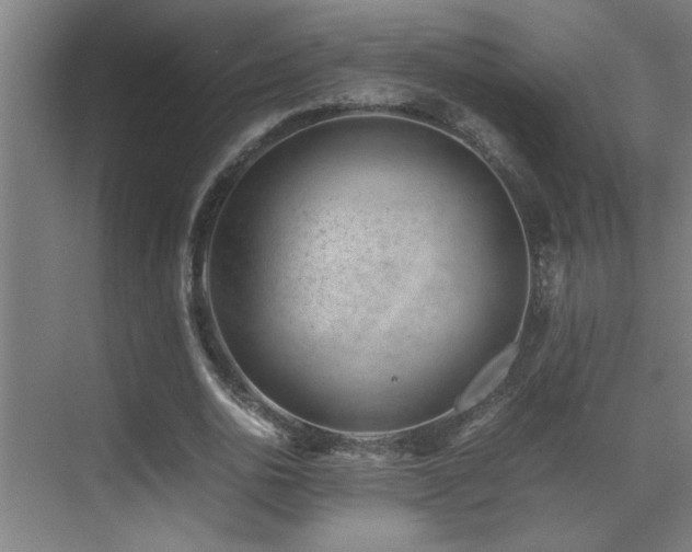 X0000070210726200605261251