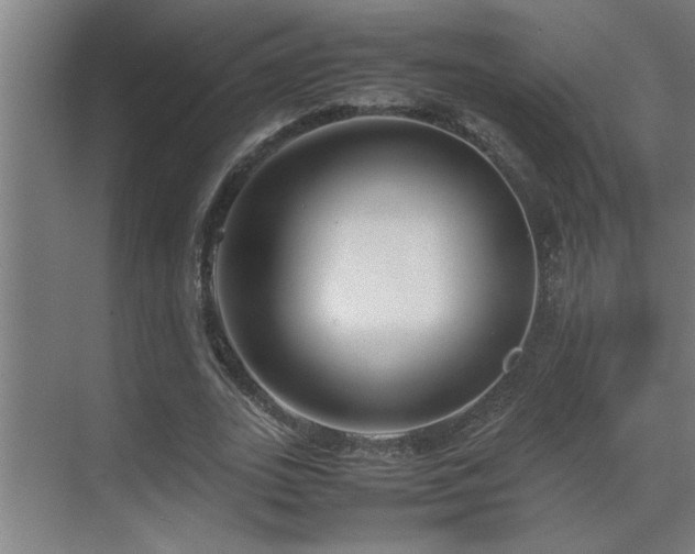 X0000070210727200605261251