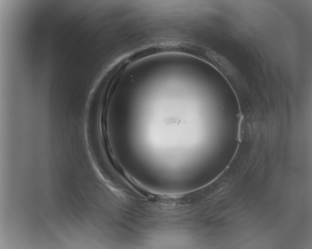 X0000070210728200605261251