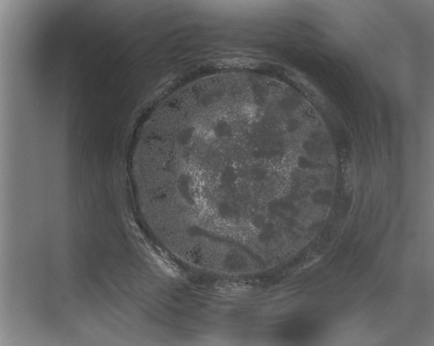 X0000070210729200605261251