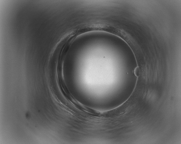 X0000070210731200605261251