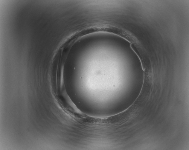 X0000070210732200605261251