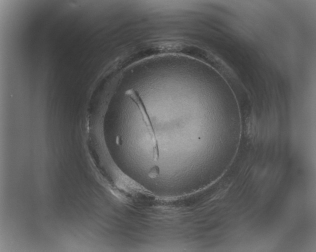 X0000070210733200605261251