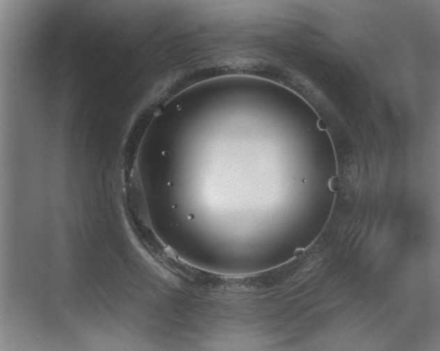 X0000070210734200605261251