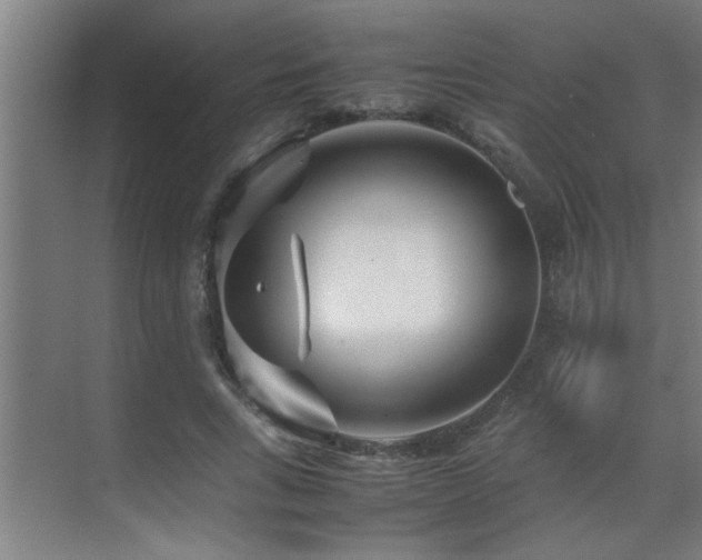 X0000070210735200605261251