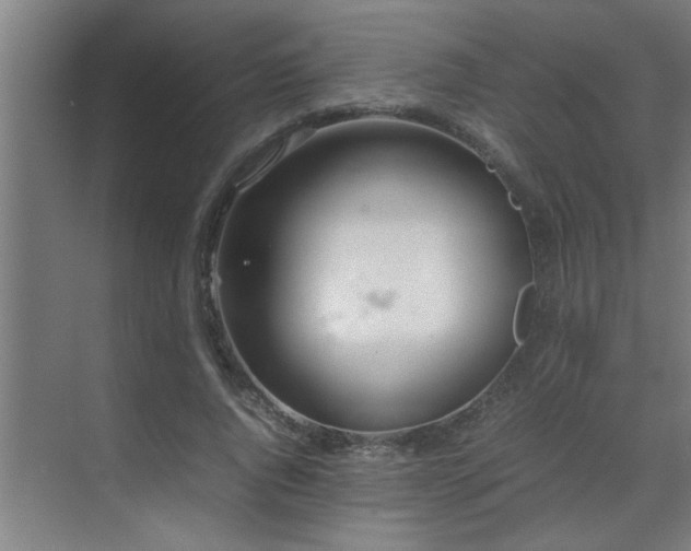 X0000070210736200605261251