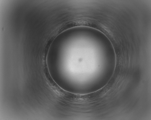 X0000070210737200605261251