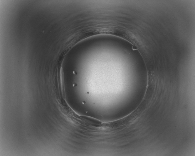 X0000070210741200605261251