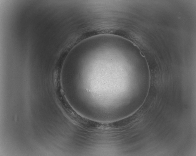 X0000070210742200605261251