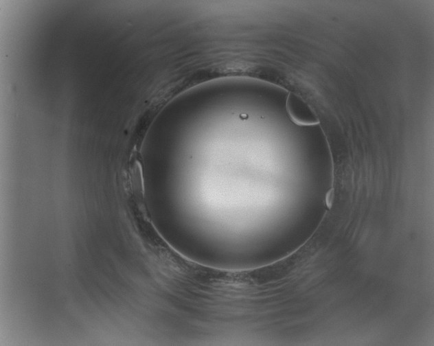 X0000070210743200605261251