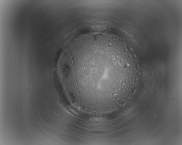 X0000070210745200605261251