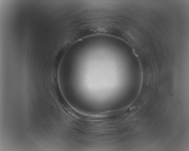 X0000070210747200605261251