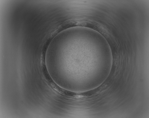 X0000070210748200605261251