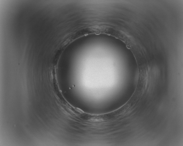 X0000070210749200605261251