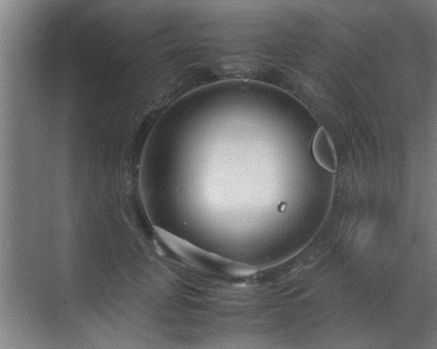 X0000070210751200605261252