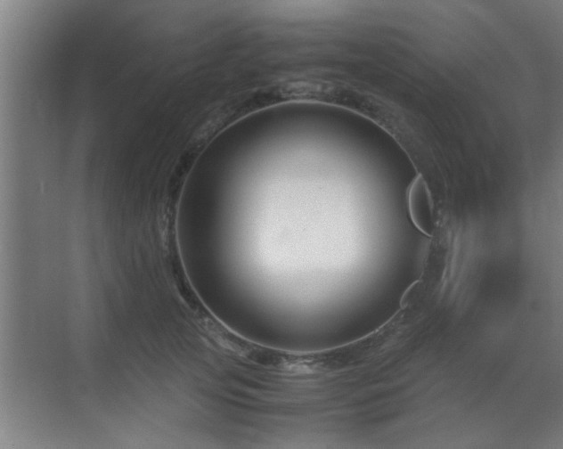 X0000070210753200605261252