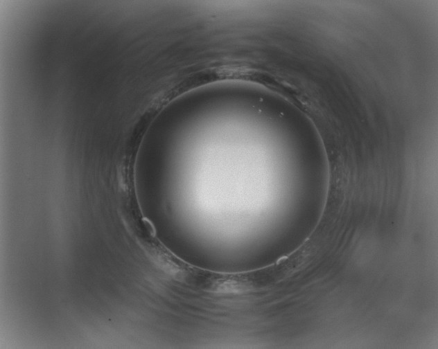 X0000070210755200605261252