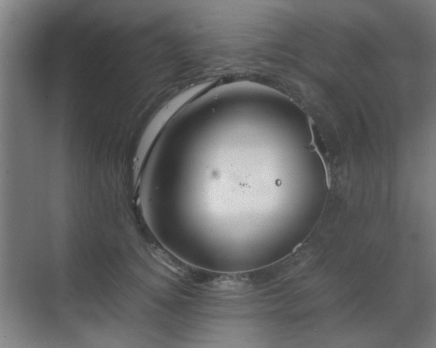 X0000070210756200605261252