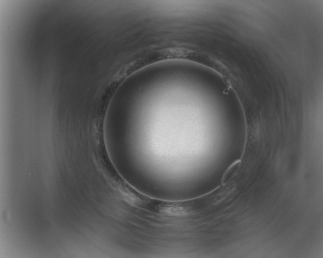 X0000070210759200605261252