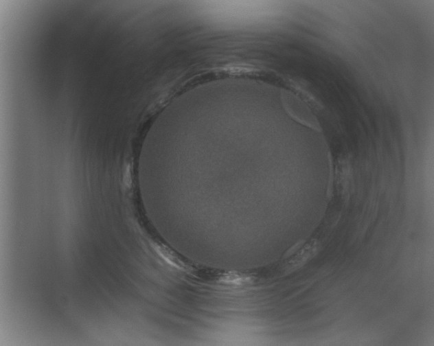 X0000070210760200605261252