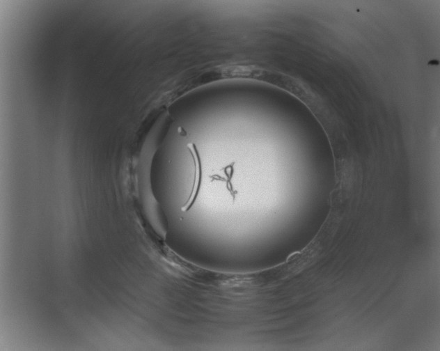 X0000070210761200605261252