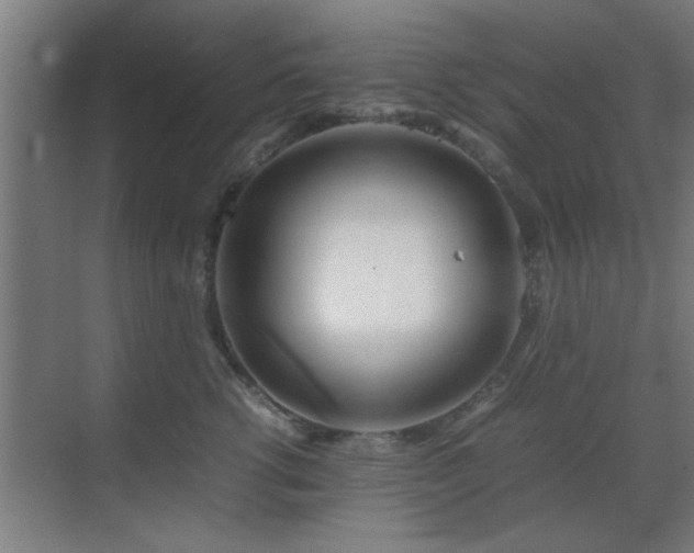 X0000070210762200605261252