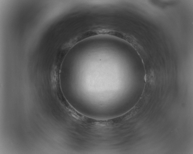 X0000070210763200605261252