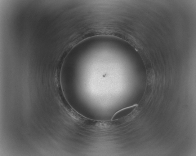 X0000070210764200605261252