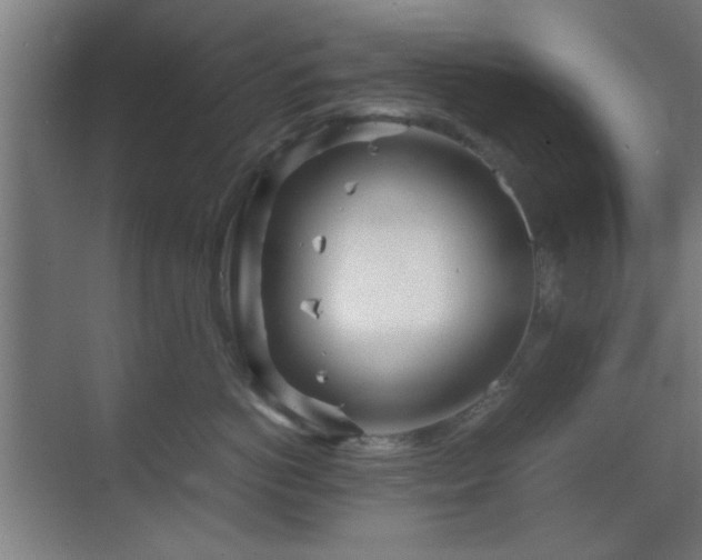 X0000070210766200605261252