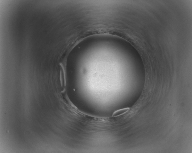 X0000070210768200605261252