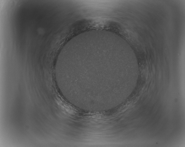 X0000070210769200605261251