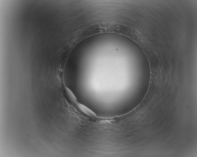 X0000070210770200605261251