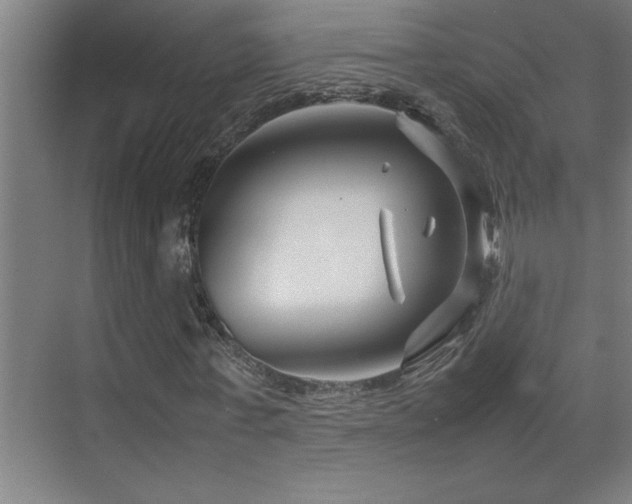 X0000070210771200605261251