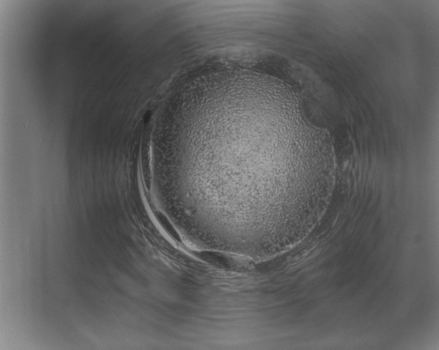 X0000070210772200605261251