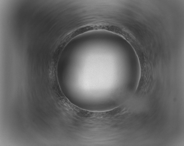 X0000070210773200605261251