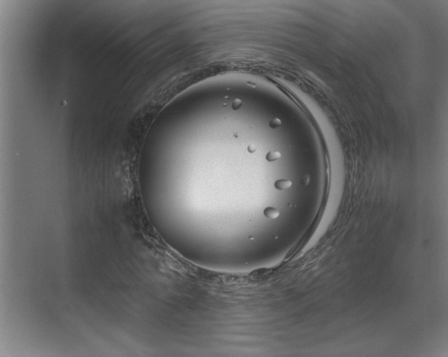 X0000070210774200605261251