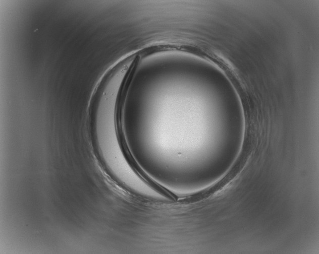 X0000070210779200605261251