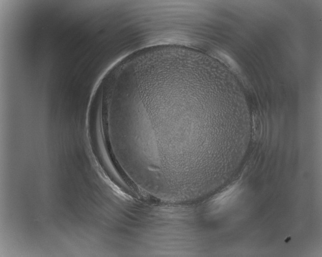 X0000070210780200605261251