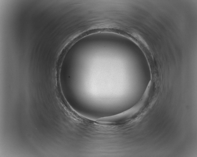 X0000070210781200605261251