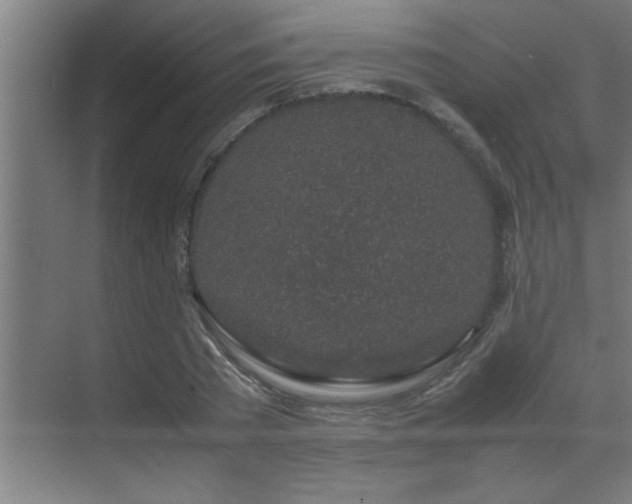 X0000070210785200605261251