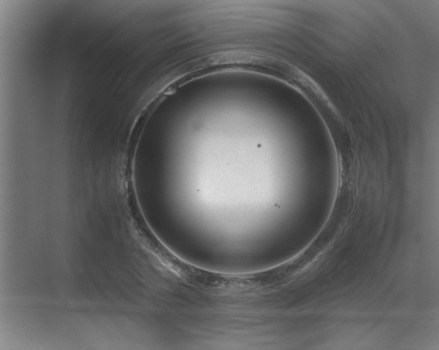 X0000070210786200605261251