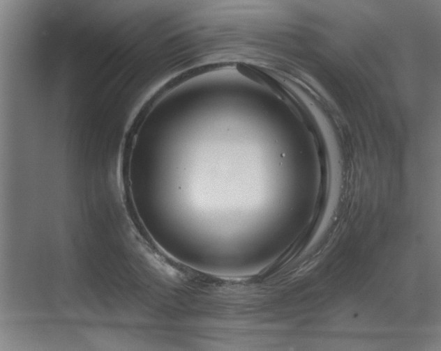 X0000070210788200605261251