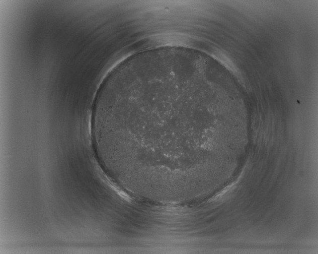 X0000070210790200605261251