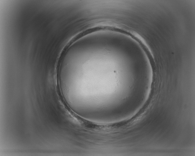 X0000070210791200605261251