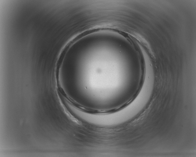 X0000070210792200605261251