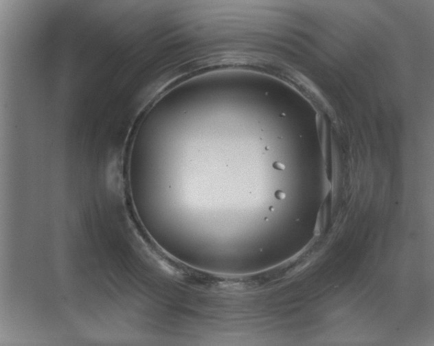 X0000070210794200605261251